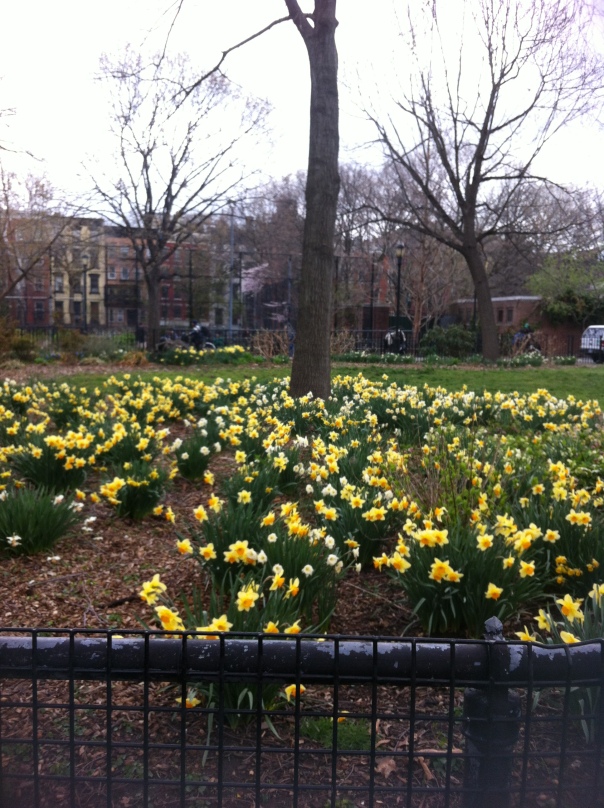 spring in the city park!